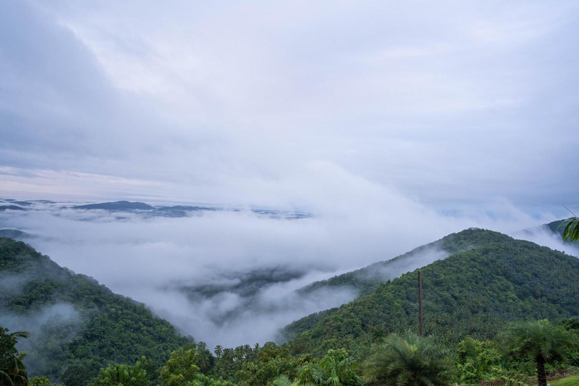 Mount Stratus Resort Vayalada Balussery Екстериор снимка